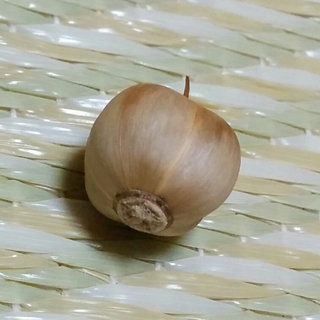 f:id:tadabito:20151010014646j:plain