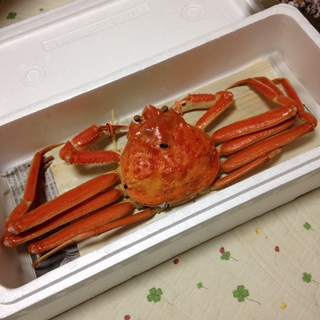 f:id:tadabito:20151223223252j:plain f:id:tadabito:20151223223252j:plain