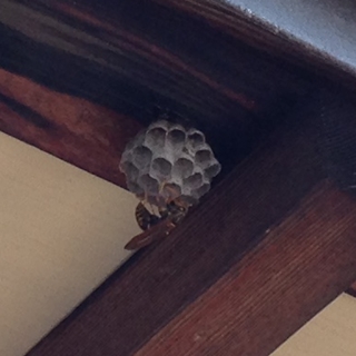 f:id:tadabito:20160525221333j:plain