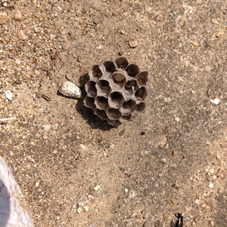 f:id:tadabito:20160525222802j:plain