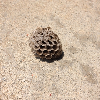 f:id:tadabito:20160525224338j:plain