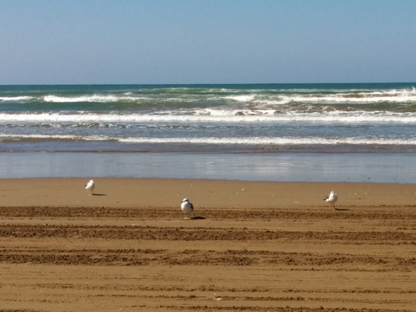 f:id:tadabito:20161015101201j:plain f:id:tadabito:20161015101201j:plain