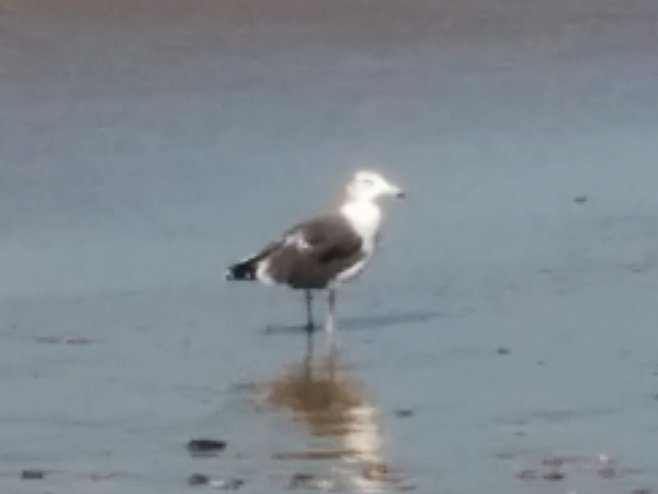 f:id:tadabito:20161015101219j:plain f:id:tadabito:20161015101219j:plain