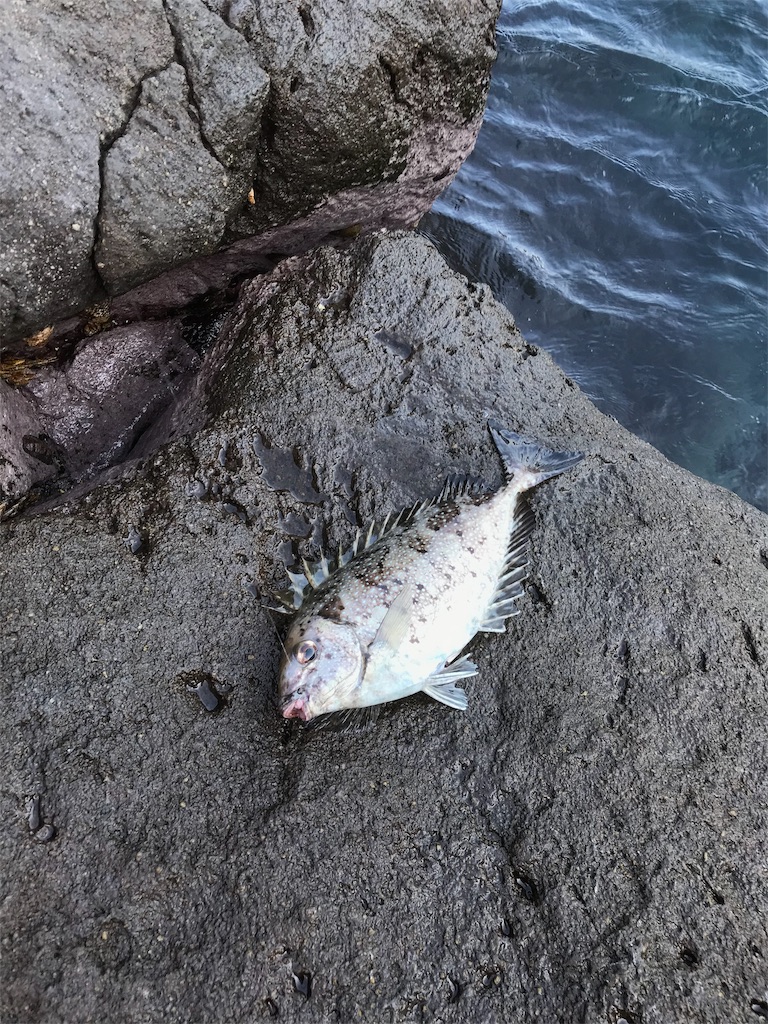 f:id:tadadadano:20181028173141j:image