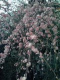 f:id:tadahitori315:20170313173355j:image