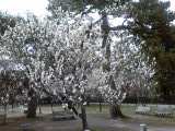 f:id:tadahitori315:20170326103024j:image:left