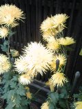 f:id:tadahitori315:20171124141444j:image:left