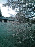 f:id:tadahitori315:20190401175230j:plain