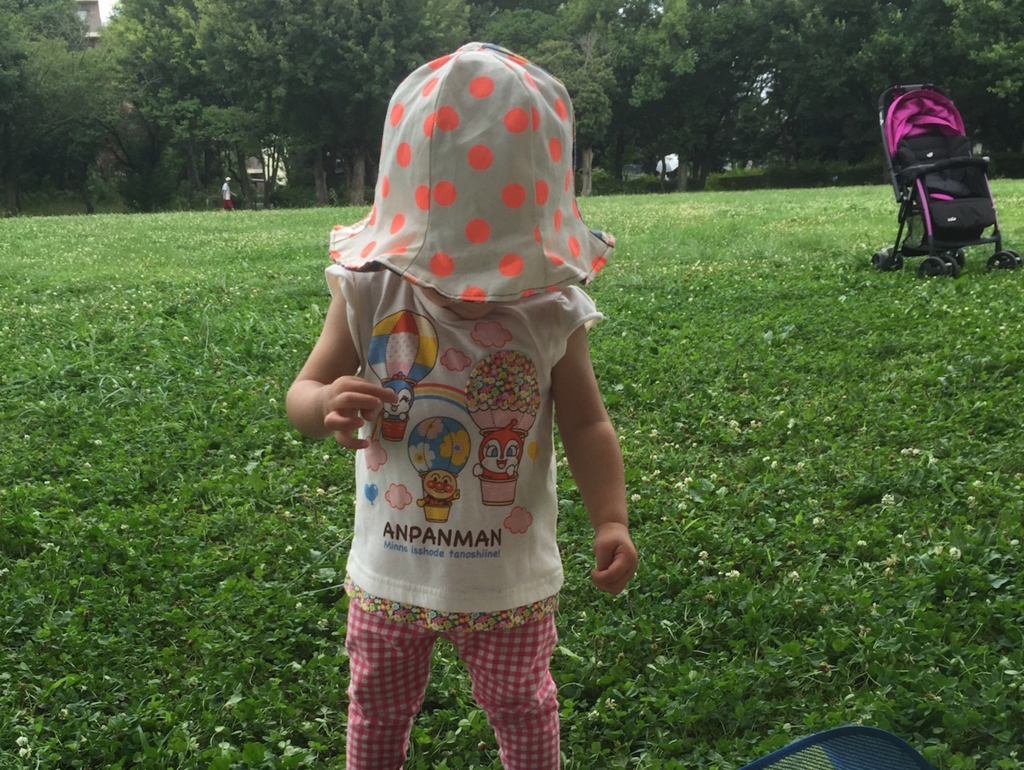 f:id:tadaima_miki:20160802230553j:plain f:id:tadaima_miki:20160802230553j:plain