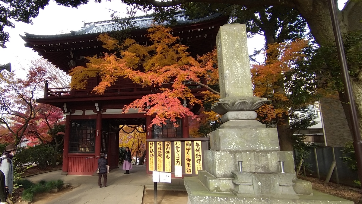 f:id:tadakaka-munoh:20210619222555j:plain