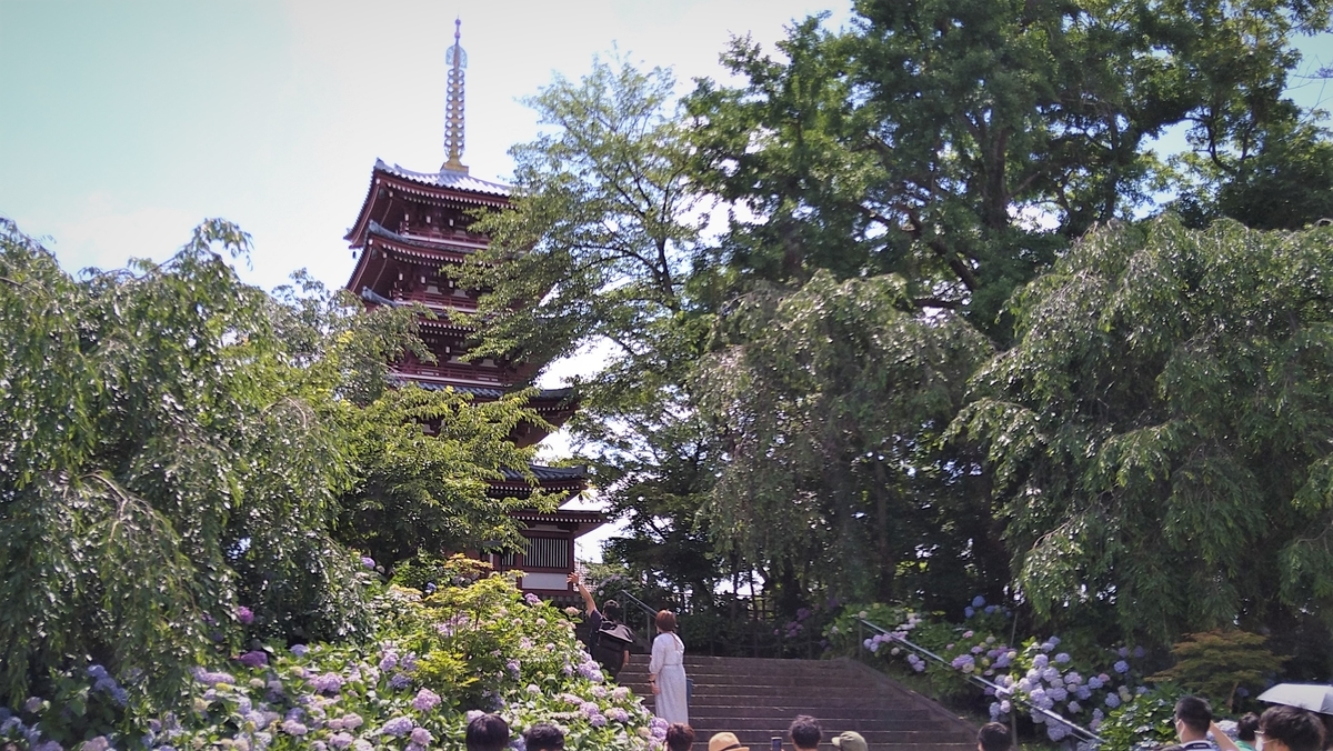 f:id:tadakaka-munoh:20210619223904j:plain