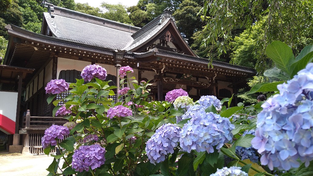 f:id:tadakaka-munoh:20210619225052j:plain