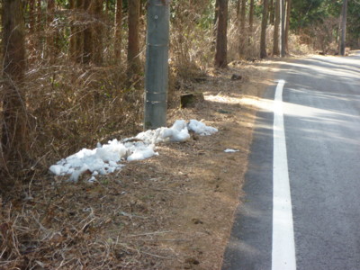 f:id:tadakogu:20120102132743j:image