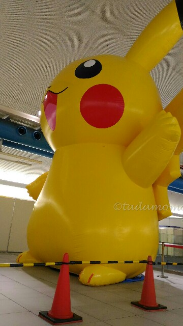 f:id:tadamomo:20170809232601j:image f:id:tadamomo:20170809232601j:image