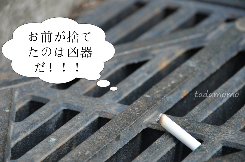 f:id:tadamomo:20170823214126j:plain f:id:tadamomo:20170823214126j:plain