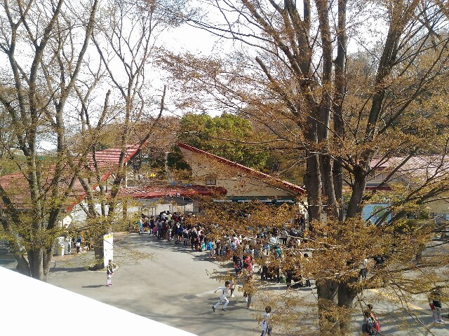 f:id:tadamomo:20180329202956j:image f:id:tadamomo:20180329202956j:image