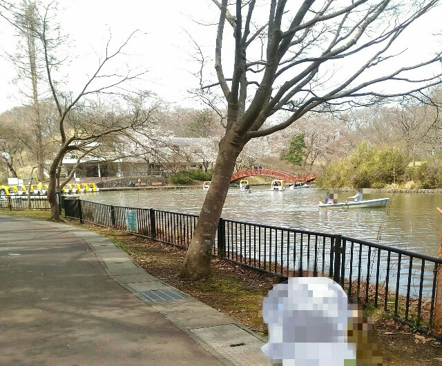 f:id:tadamomo:20180329224041j:image f:id:tadamomo:20180329224041j:image