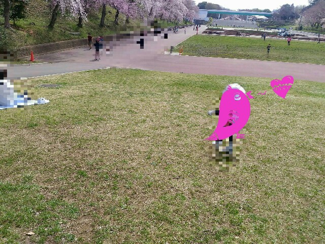 f:id:tadamomo:20180329224311j:image f:id:tadamomo:20180329224311j:image