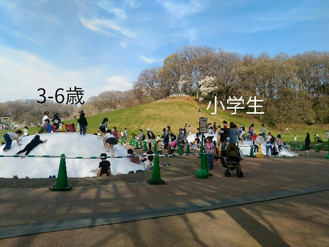 f:id:tadamomo:20180329230637j:image f:id:tadamomo:20180329230637j:image