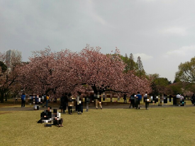 f:id:tadamomo:20180404054100j:image f:id:tadamomo:20180404054100j:image