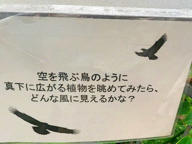f:id:tadamomo:20180404054647j:image f:id:tadamomo:20180404054647j:image