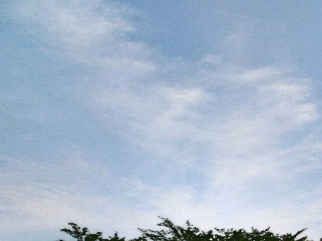 f:id:tadamomo:20180523142658j:image f:id:tadamomo:20180523142658j:image