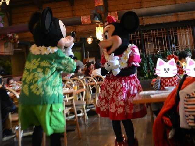f:id:tadamomo:20190119213332j:plain f:id:tadamomo:20190119213332j:plain