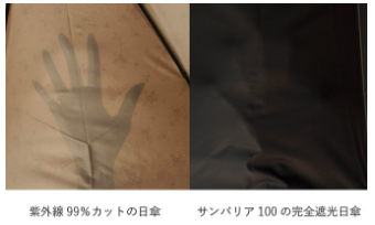 f:id:tadamomo:20190325093549p:plain f:id:tadamomo:20190325093549p:plain