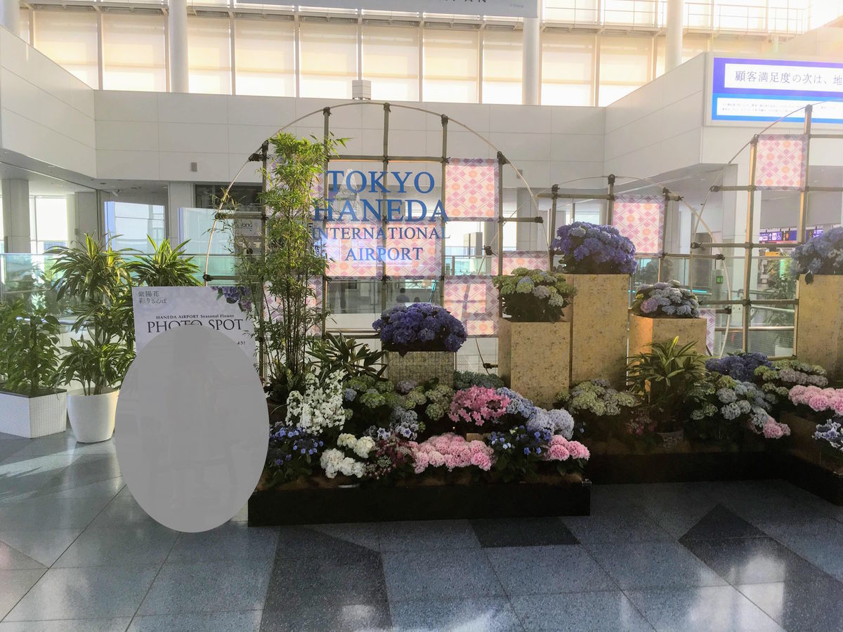 f:id:tadamomo:20190623102029j:plain f:id:tadamomo:20190623102029j:plain