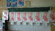 イメージ 6