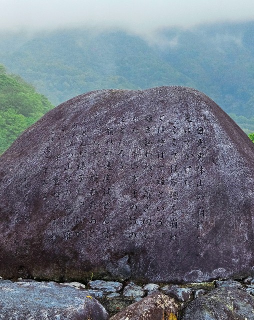 f:id:tadarikot:20231005225126j:image
