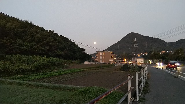 f:id:tadashian:20191113084759j:image f:id:tadashian:20191113084759j:image