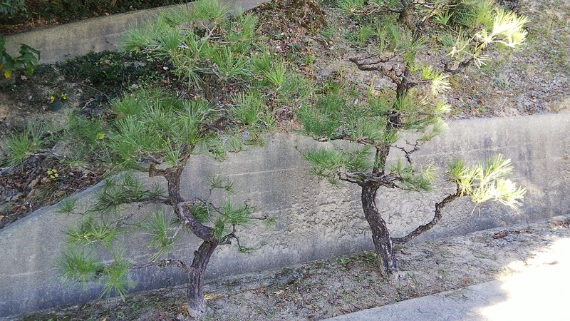 f:id:tadashian:20191121173027j:image f:id:tadashian:20191121173027j:image