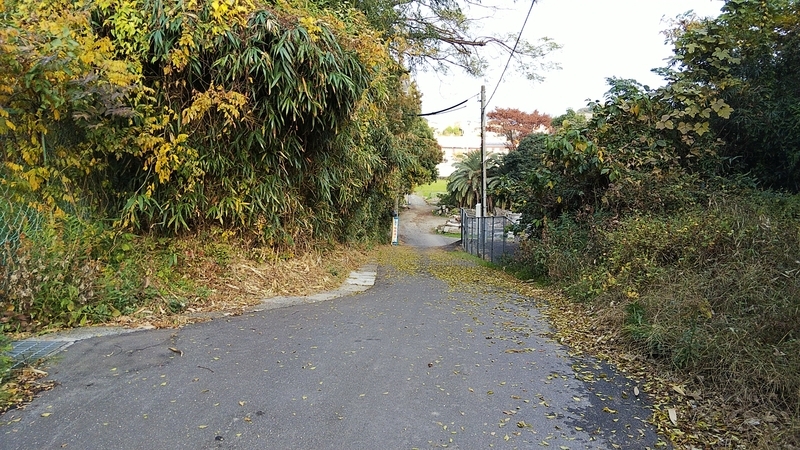 f:id:tadashian:20191124201329j:image f:id:tadashian:20191124201329j:image