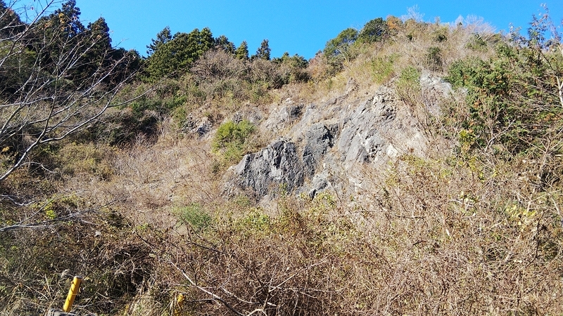 f:id:tadashian:20191215195950j:image f:id:tadashian:20191215195950j:image