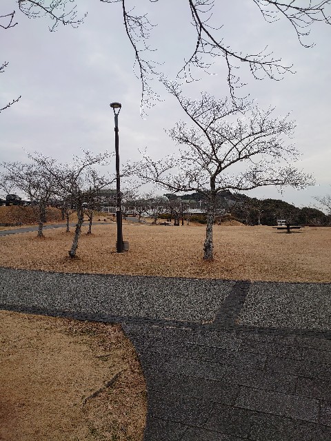 f:id:tadasumi:20230406222807j:image