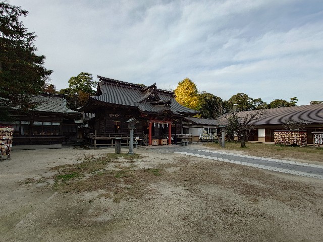 f:id:tadasumi:20241206005456j:image