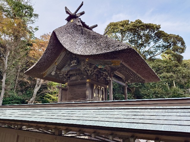 f:id:tadasumi:20241206005648j:image