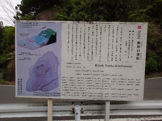 f:id:tadasumi:20250604221931j:image