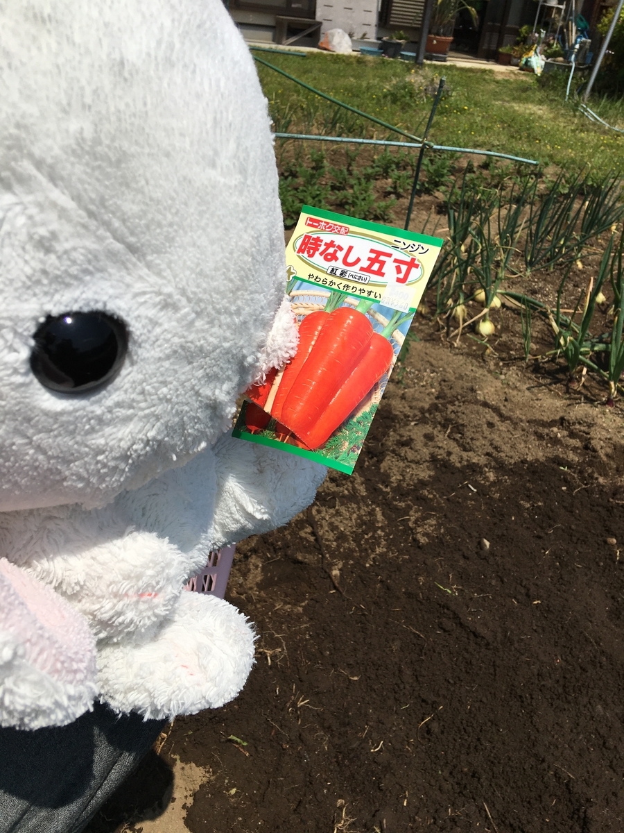うさ次郎農園 野菜作り 実はぬいぐるみはとっても働き者です うさ次郎48劇場ぬいぐるみと暮らす生活