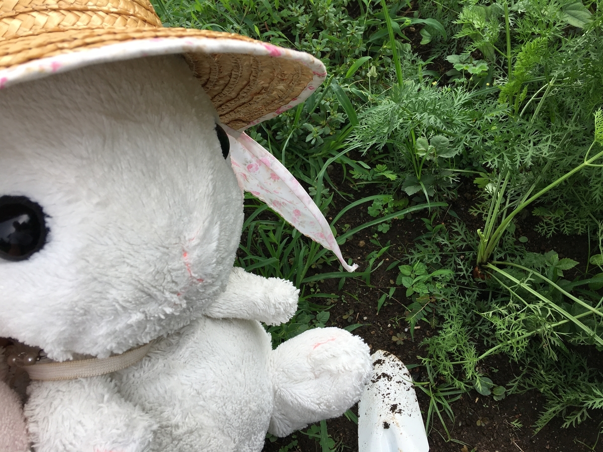 うさ次郎農園 野菜作り後編 実はぬいぐるみも疲れるのです うさ次郎48劇場ぬいぐるみと暮らす生活