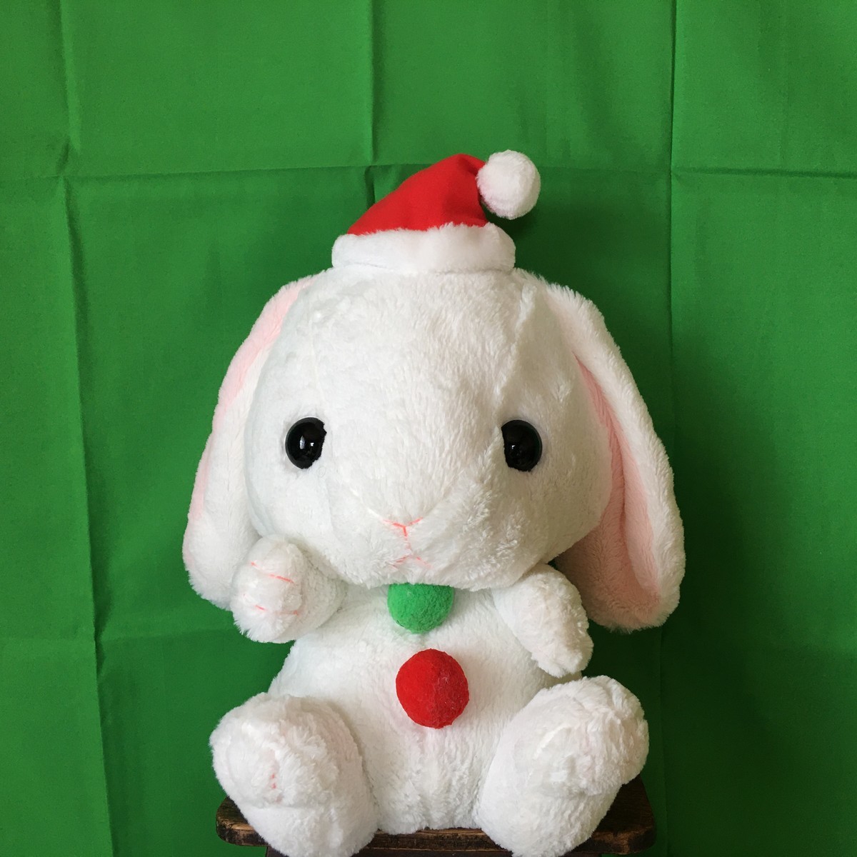 ナキウサギ生息地 キュンちゃん が北海道に雪うさぎを見に行った話 うさ次郎48劇場ぬいぐるみと暮らす生活