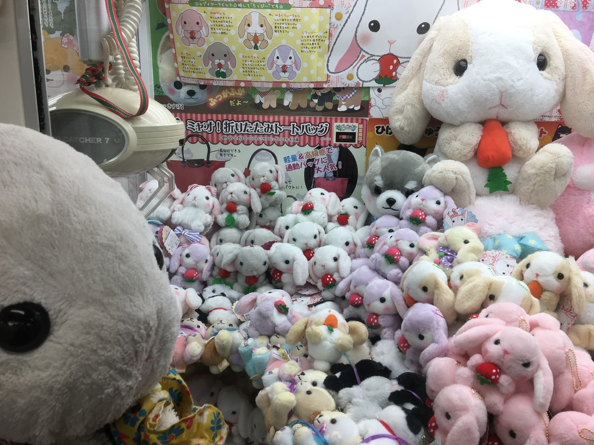 久々のぽてうさろっぴー最新作!新宿に行くの巻き - うさ次郎48