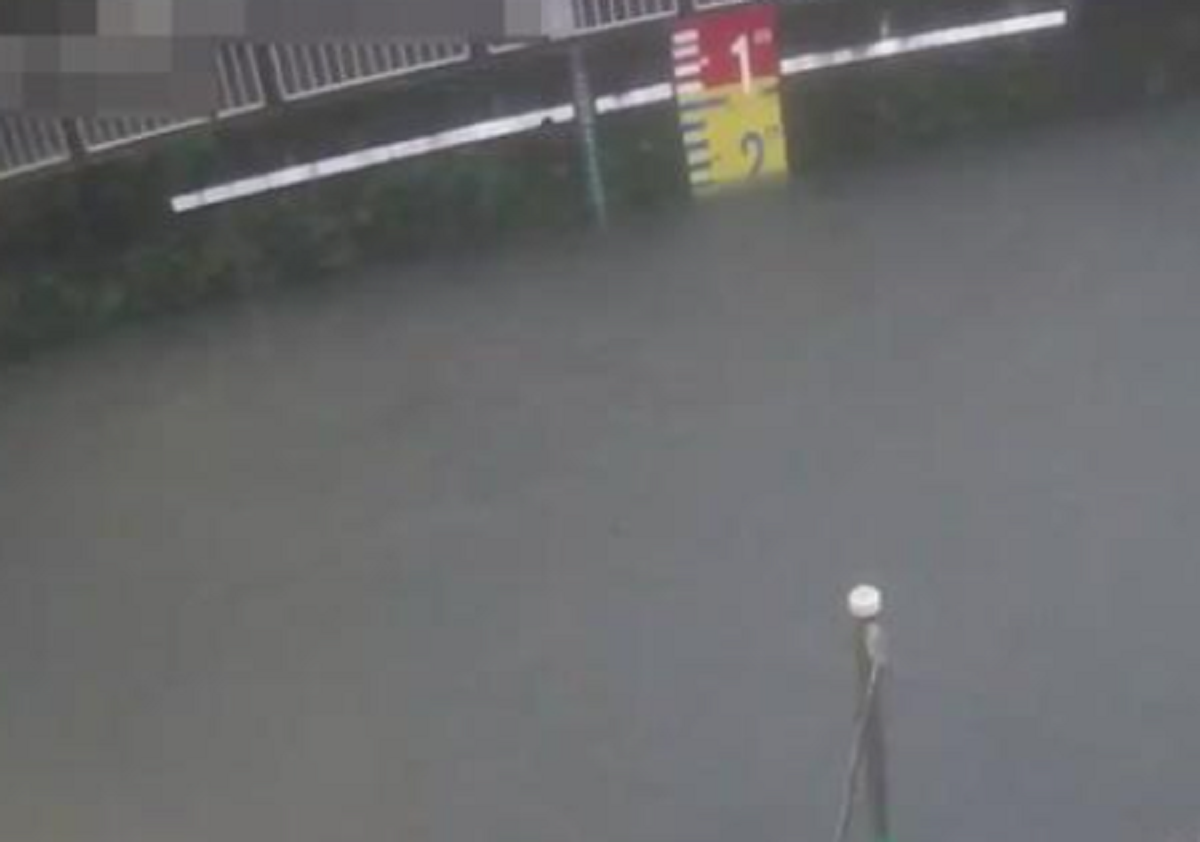 ライブカメラ映像 東京杉並荻窪駅南口 善福寺川 妙正寺川 石神井川が氾濫警戒水位へサイレン 日本全国自由に旅する 夢のレンタカー回送ドライバー生活 ライブカメラ映像 東京杉並荻窪駅南口 善福寺川 妙正寺川 石神井川が氾濫警戒水位へサイレン 日本全国自由に旅する 夢のレンタカー回送ドライバー生活