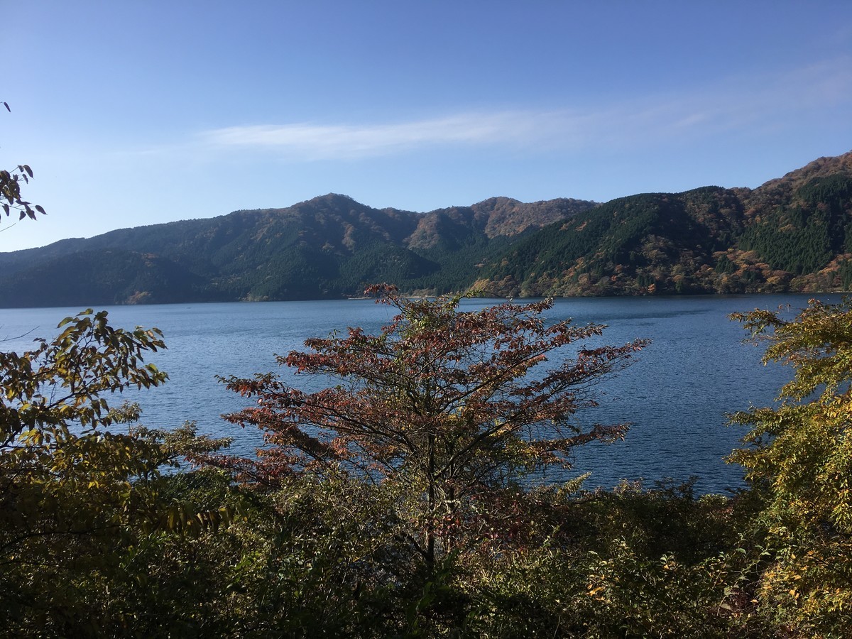 参拝を始めたきっかけ