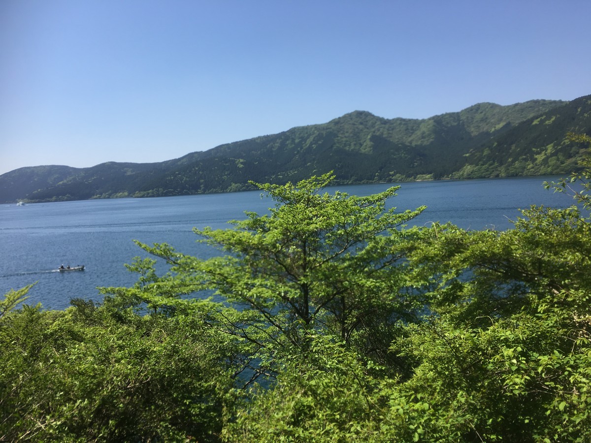 箱根九頭竜神社由来