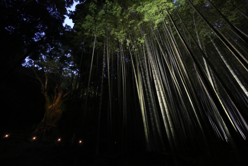 f:id:taddakomma:20160714215715j:plain