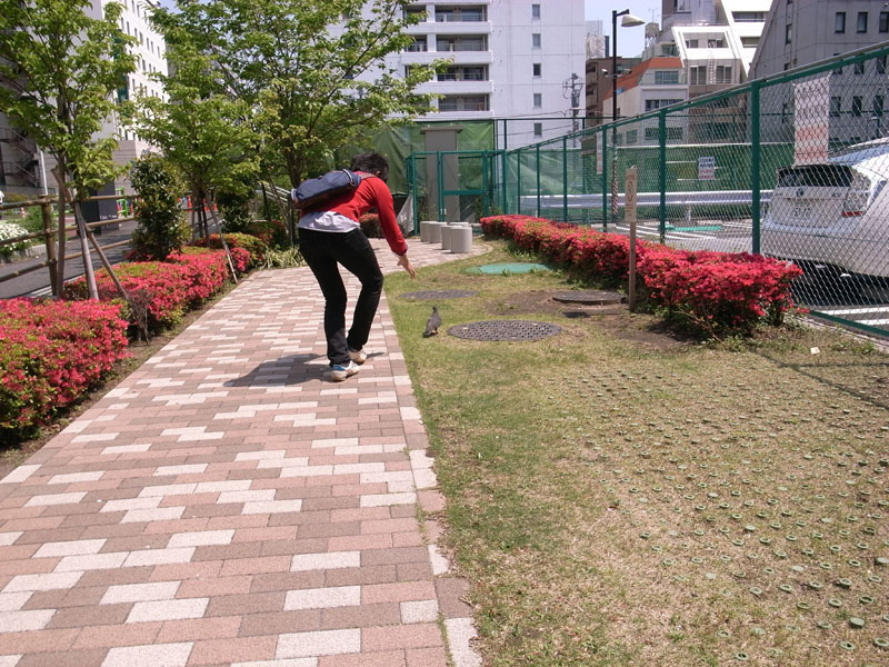 f:id:tadoo:20100501123557j:image f:id:tadoo:20100501123557j:image