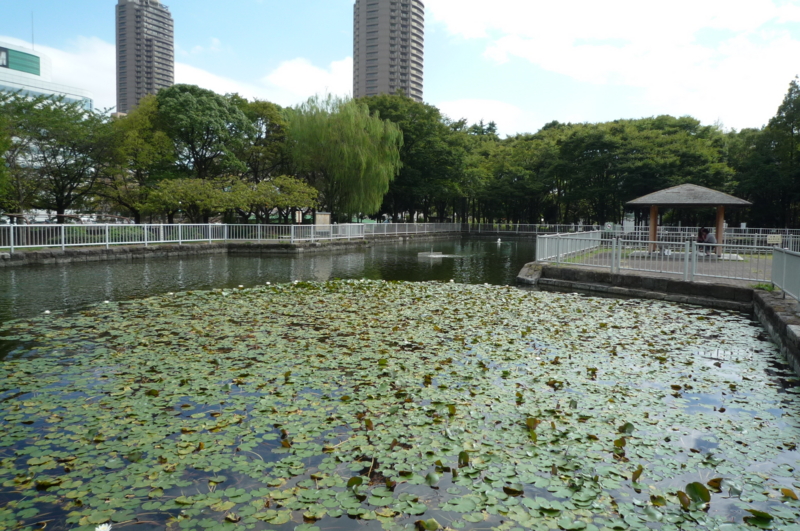 f:id:tadoo:20101003124829j:image f:id:tadoo:20101003124829j:image
