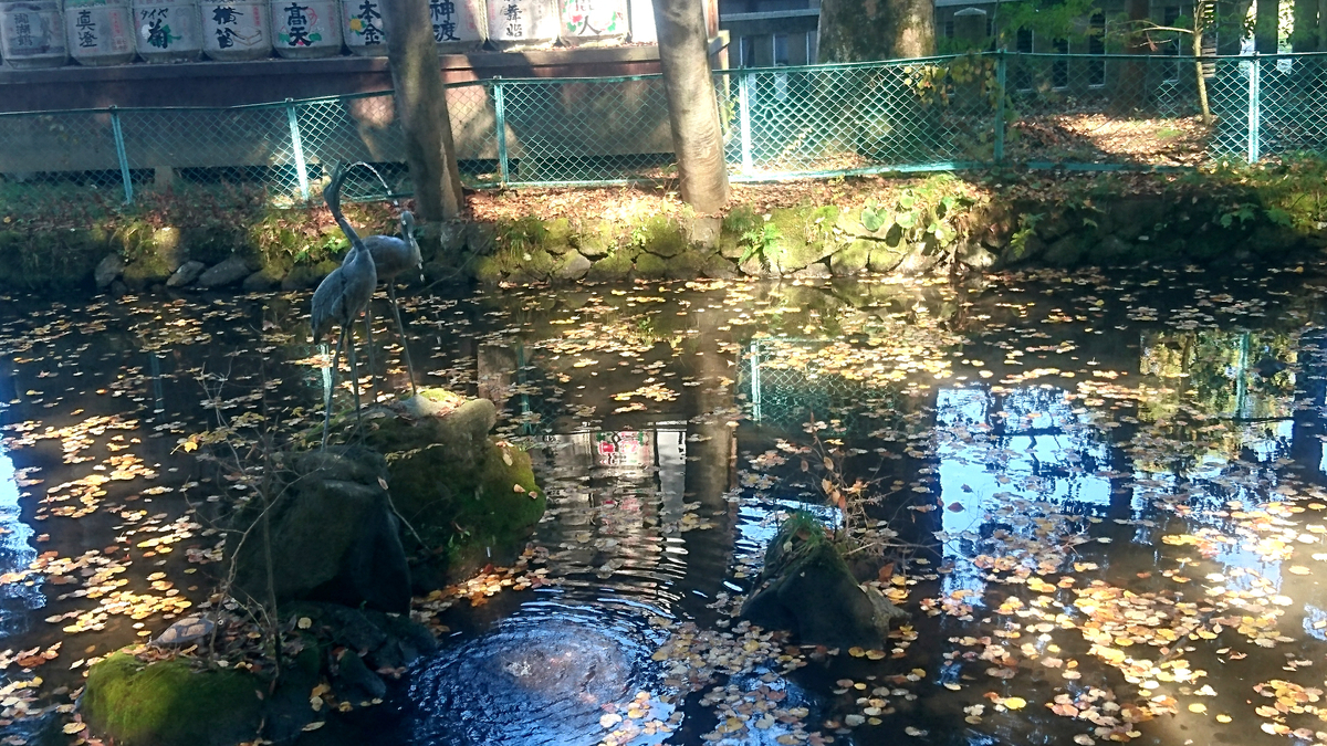 f:id:tadpoles958:20211120131914j:plain
